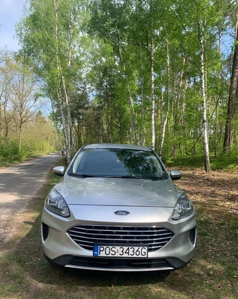Ford Escape cena 71900 przebieg: 96140, rok produkcji 2020 z Susz małe 154